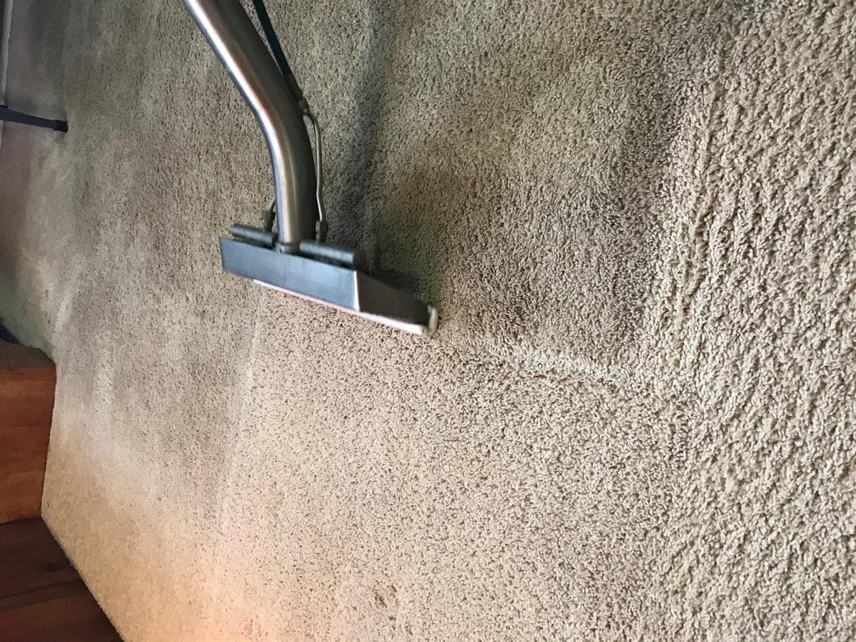 A truck-mounted cleaning wand mid-pass across a beige carpet in a Coeur d’Alene home, with the freshly cleaned lane visibly lighter than the soiled carpet beside it